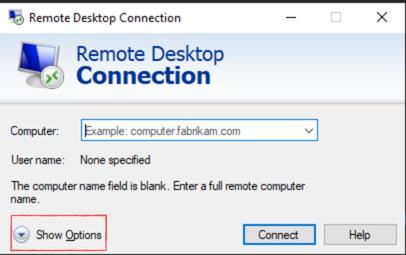 Remote Desktop Option