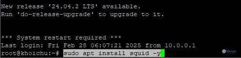 Hướng Dẫn Tạo Nhiều Proxy Sử Dụng IPv4 Qua Squid 1 anh1 30