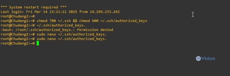 Hướng Dẫn Thêm Khóa SSH Vào VPS Của Bạn 2 anh2 52