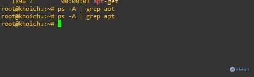 Hướng Dẫn Sửa Lỗi "Could not get lock /var/lib/dpkg/lock" Trên Ubuntu 2 anh2 55