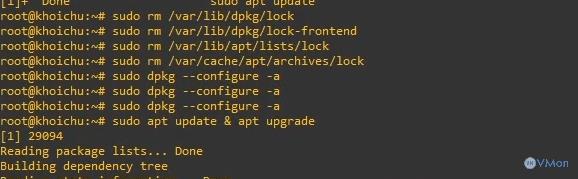 Hướng Dẫn Sửa Lỗi "Could not get lock /var/lib/dpkg/lock" Trên Ubuntu 4 anh4 33
