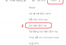 Gia hạn VPS