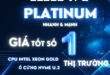 Cloud VPS Platinum