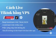 Livestream tiktok trên VPS Windows