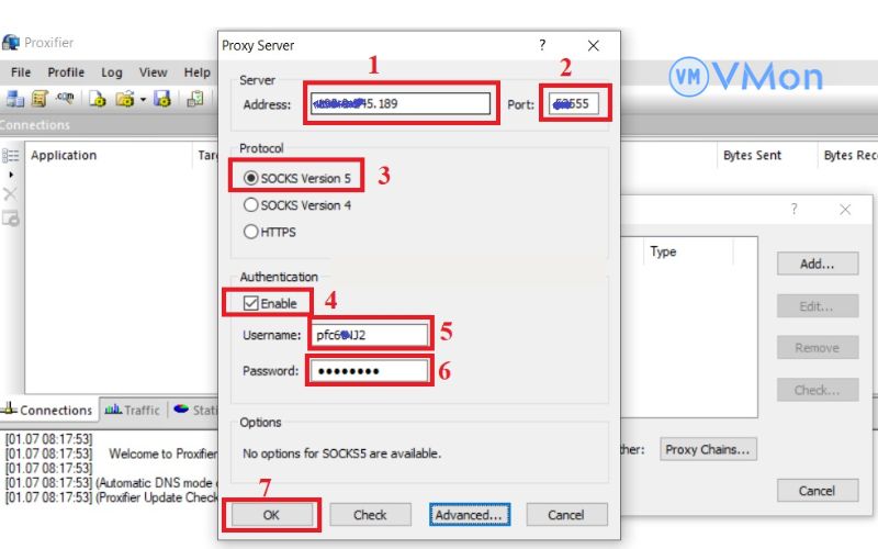 Hướng dẫn cài Proxy cho Chrome trên VPS Windows siêu nhanh 28 Điền đầy đủ các thông tin vào ô